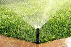 Irrigation Systems Dubai