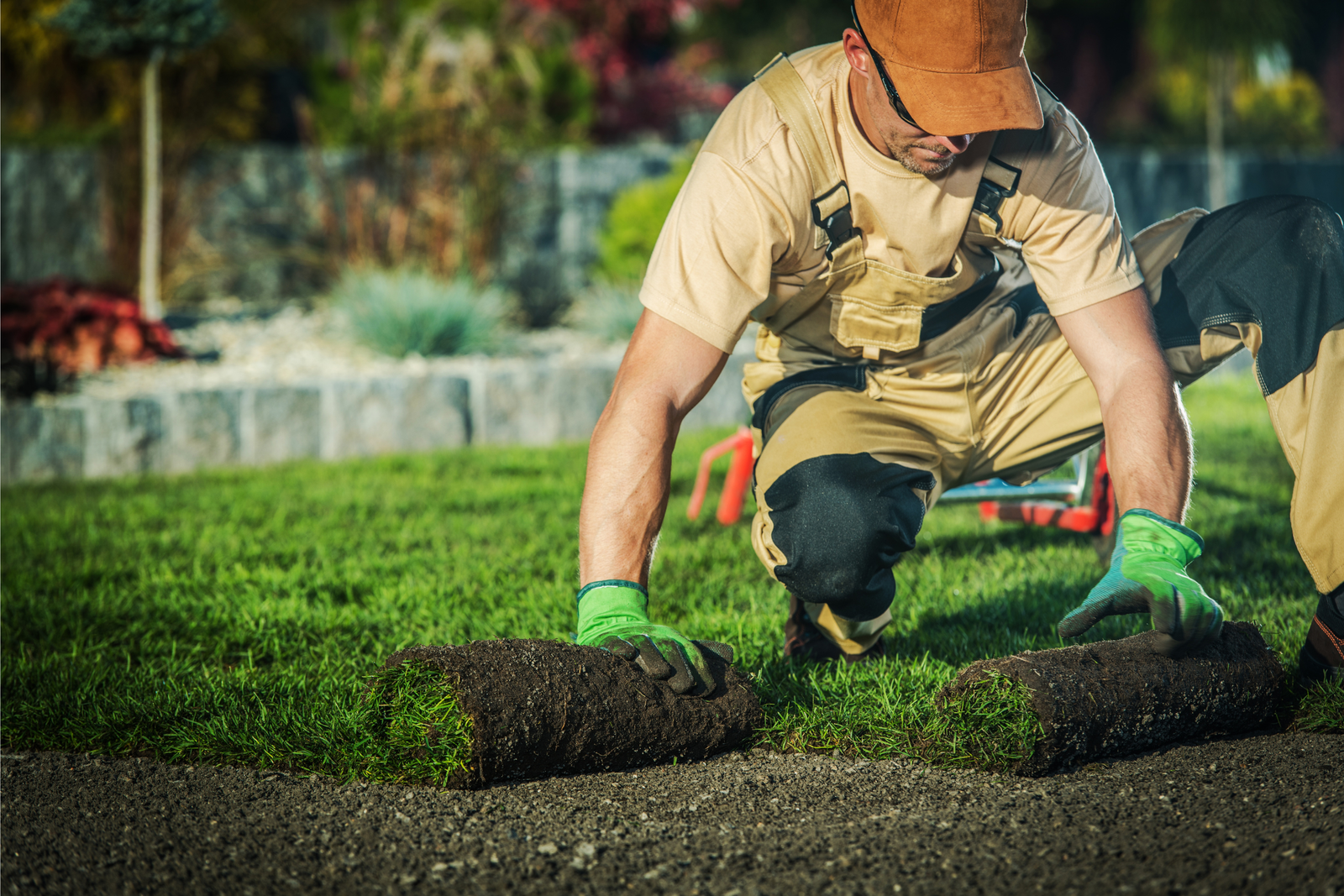 Landscape gardening in five hotel Dubai