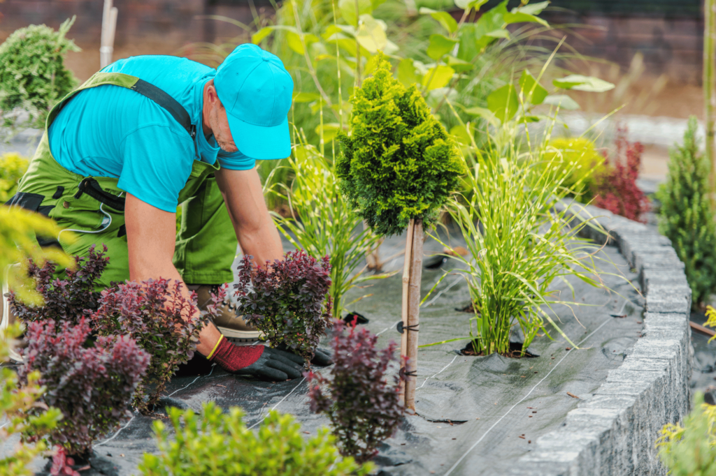 landscape gardening