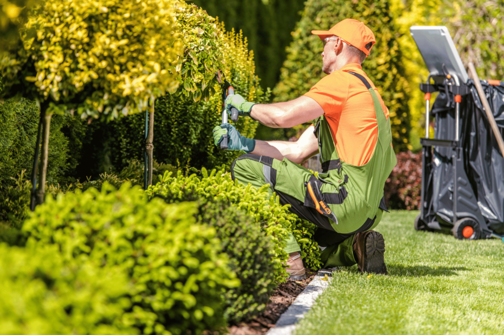 landscape gardening