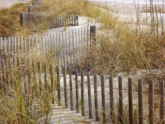 Fencing and Wall