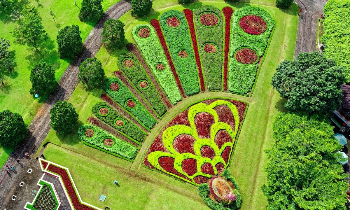 gardening and landscaping